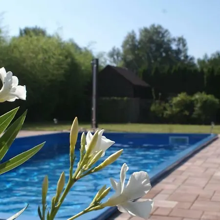 Vilă Balaton Gyenes Gyenesdiás